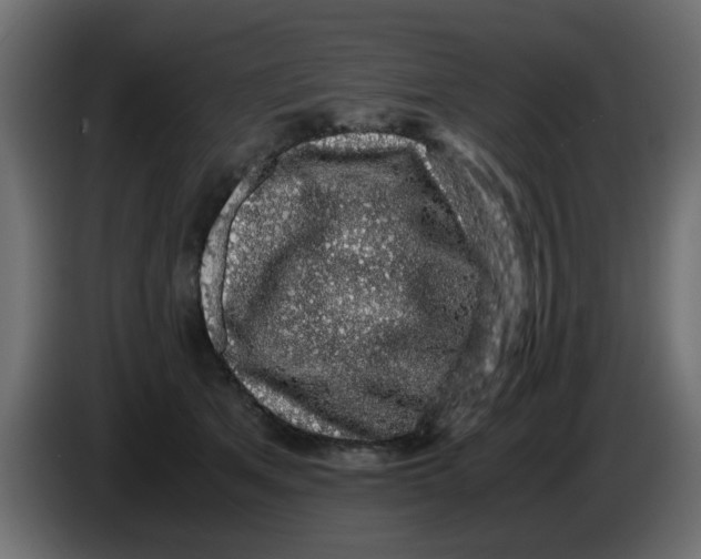 X0000083580513200703021819