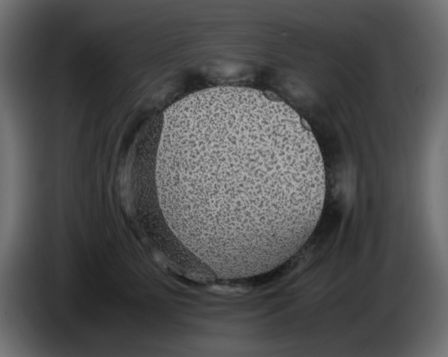 X0000083580515200703021819