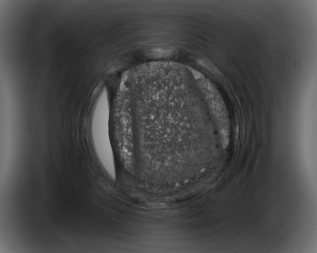 X0000083580516200703021819