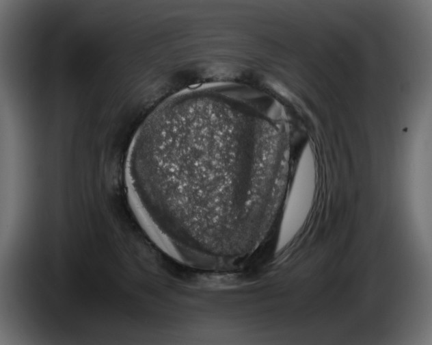 X0000083580517200703021819