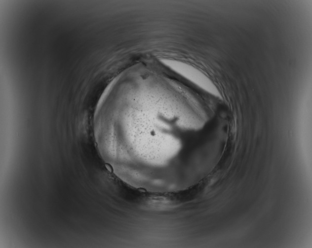 X0000083580519200703021819