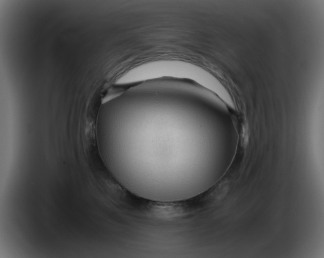 X0000083580521200703021819