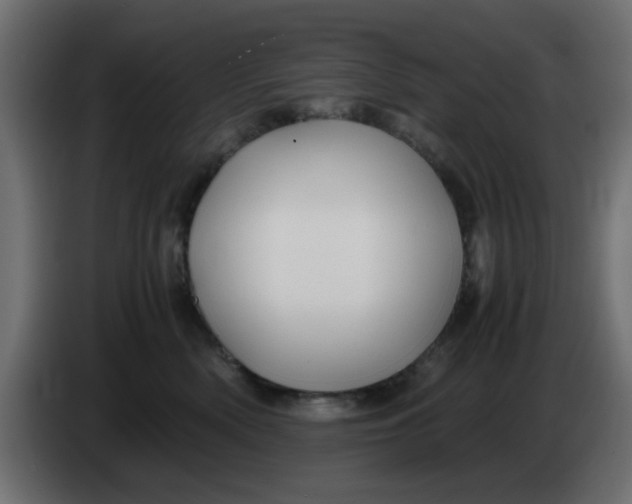 X0000083580522200703021819