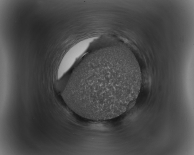 X0000083580523200703021819