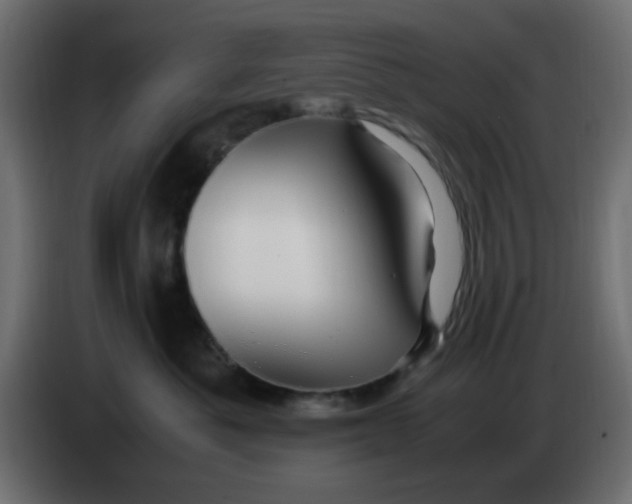 X0000083580525200703021819