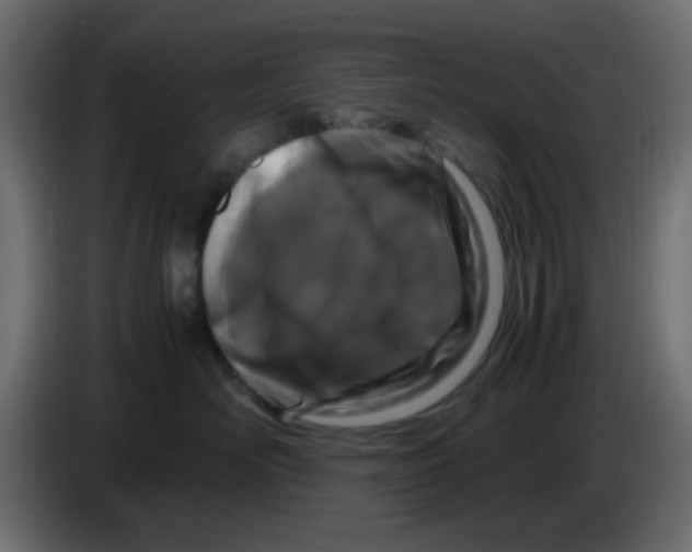 X0000083580526200703021819