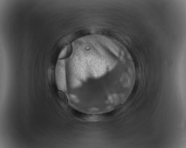 X0000083580527200703021819