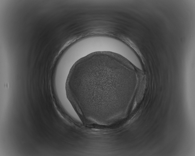 X0000083580530200703021818