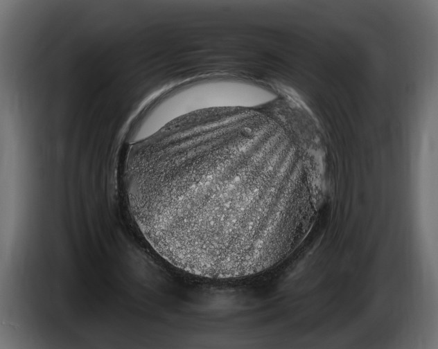 X0000083580531200703021818