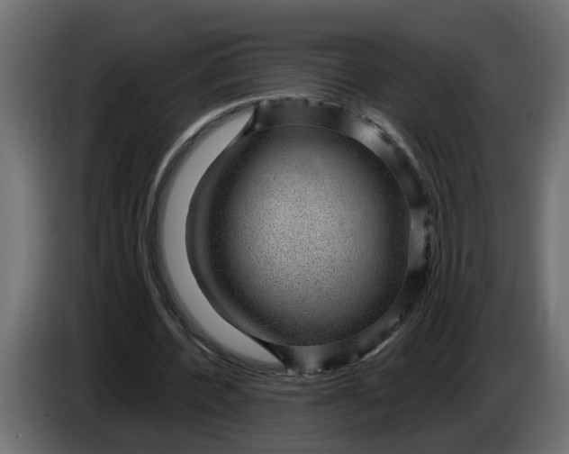 X0000083580532200703021818