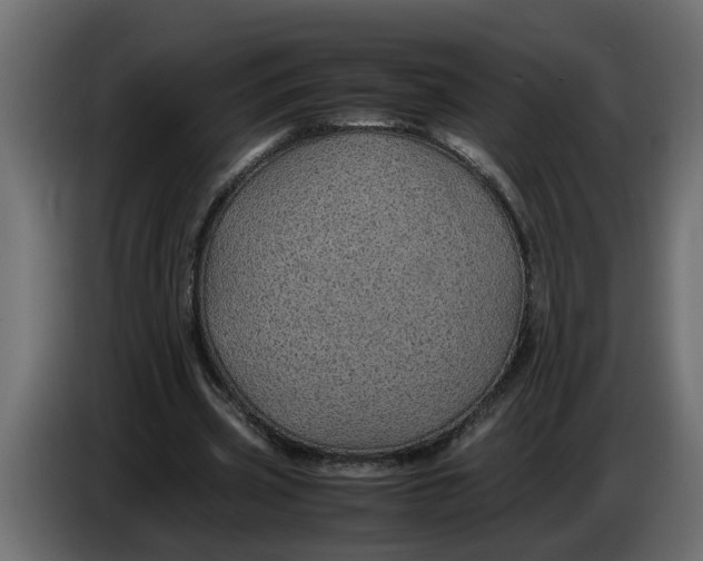 X0000083580533200703021818