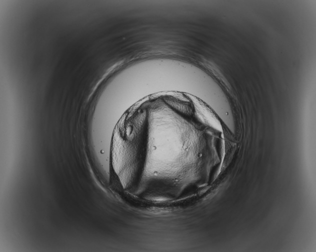 X0000083580534200703021818