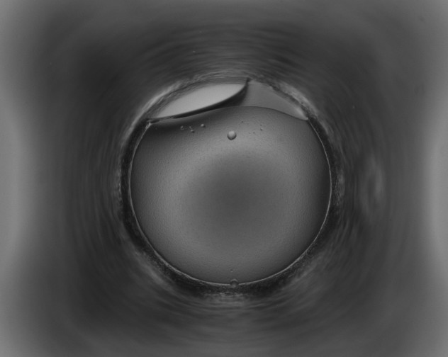 X0000083580535200703021818