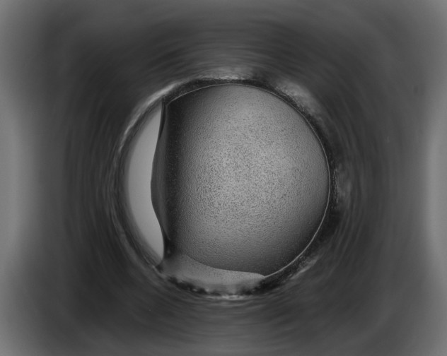 X0000083580536200703021818