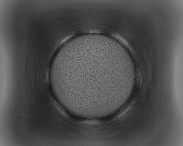 X0000083580537200703021818