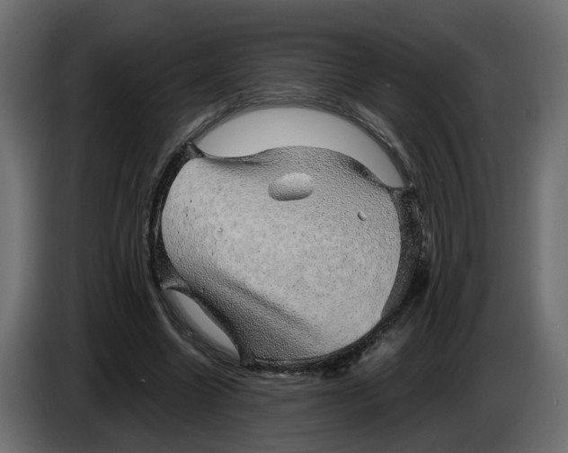 X0000083580538200703021818