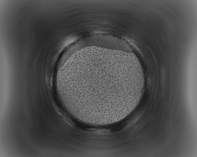 X0000083580539200703021818