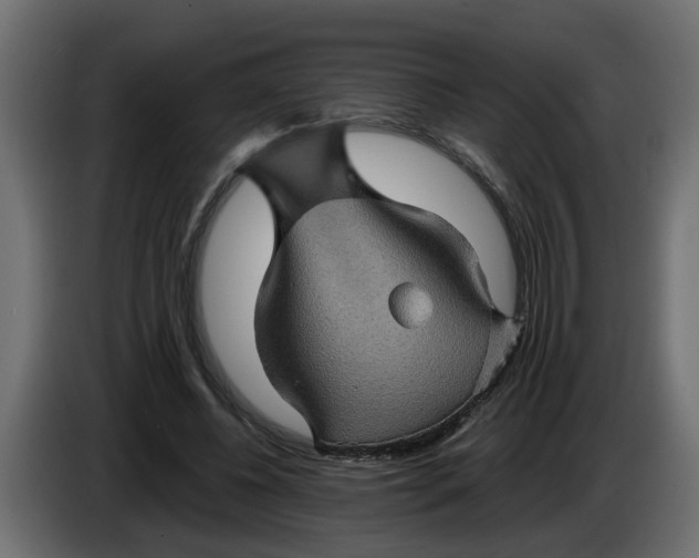 X0000083580540200703021818