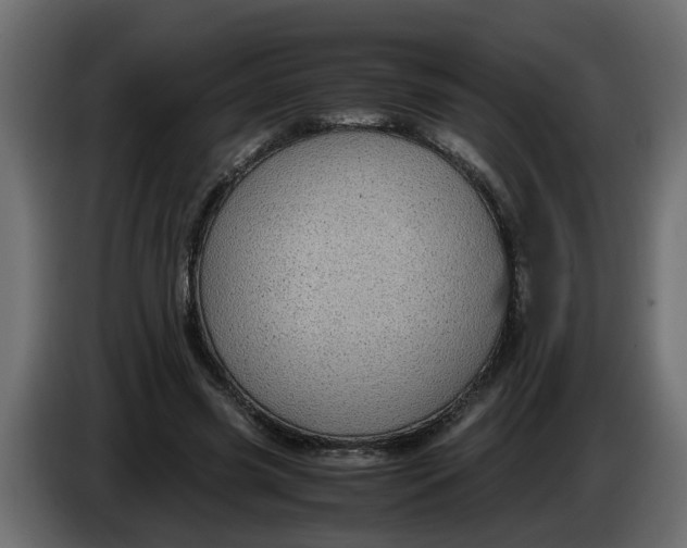 X0000083580541200703021818