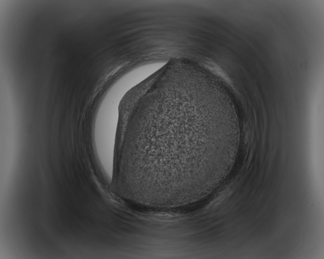 X0000083580542200703021818