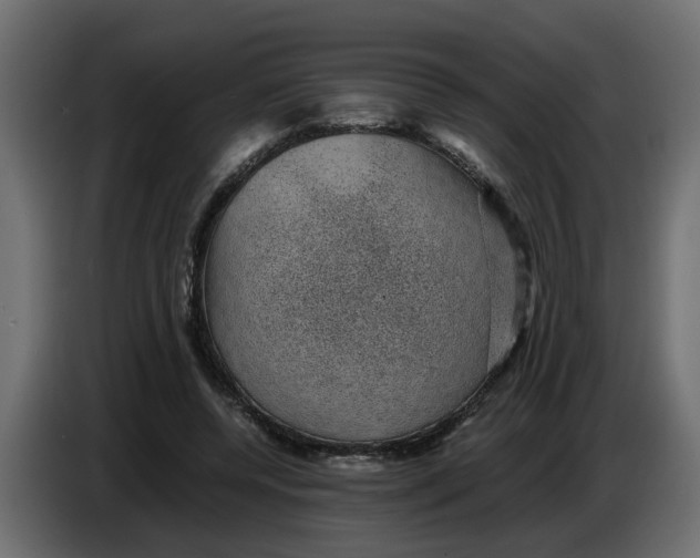 X0000083580544200703021818