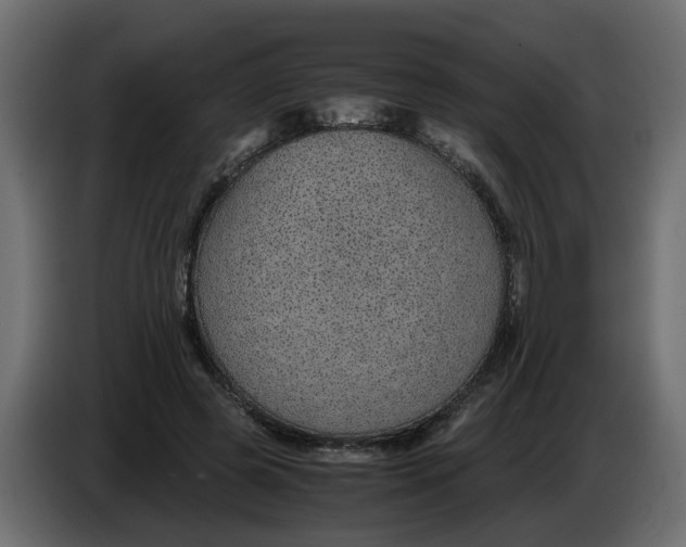 X0000083580545200703021818