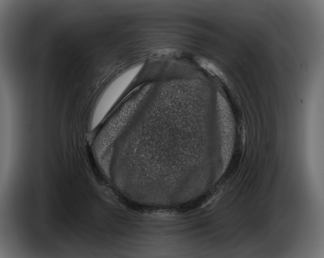 X0000083580546200703021818