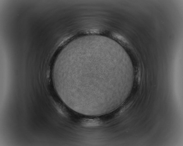 X0000083580548200703021818