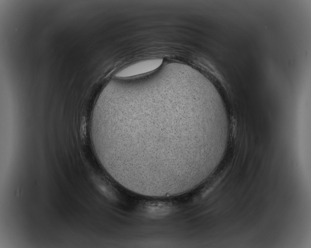 X0000083580549200703021818