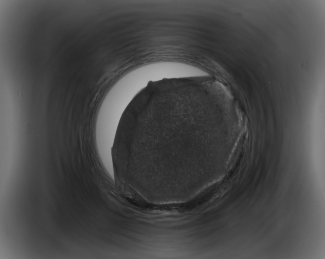 X0000083580552200703021818