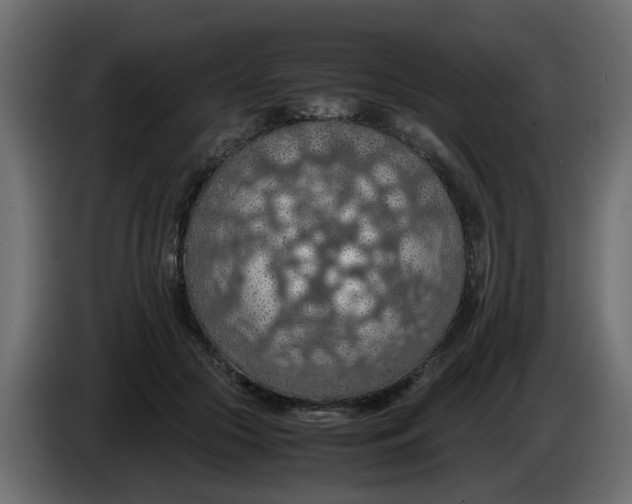 X0000083580553200703021818