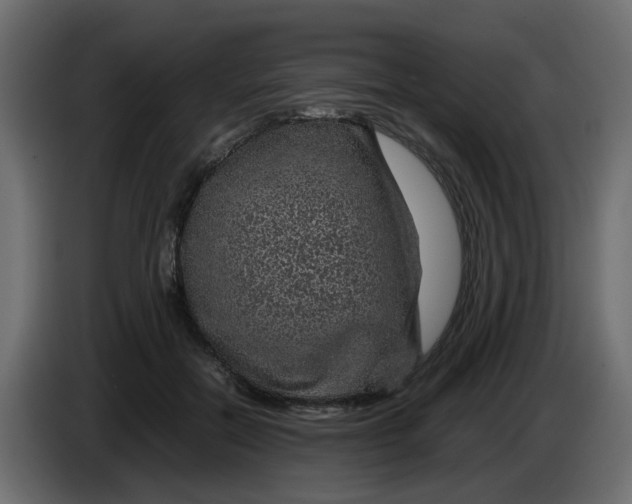 X0000083580554200703021818