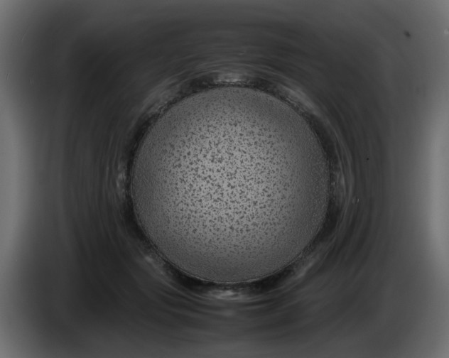 X0000083580557200703021818