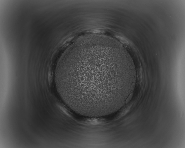 X0000083580558200703021818