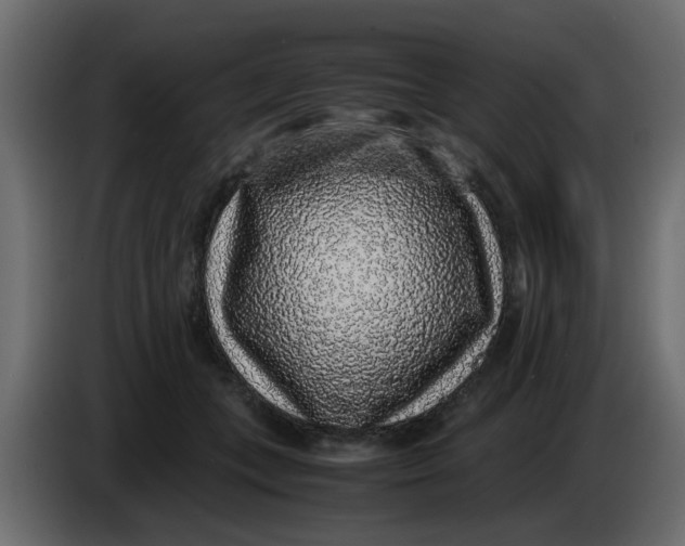 X0000083580559200703021818