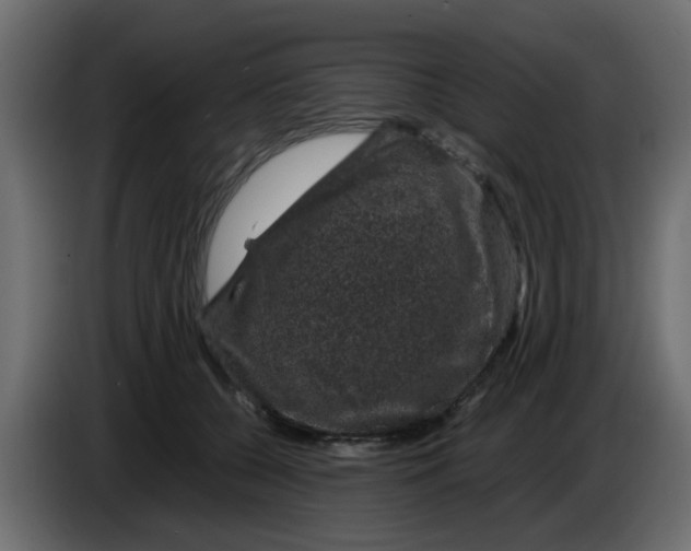 X0000083580560200703021818