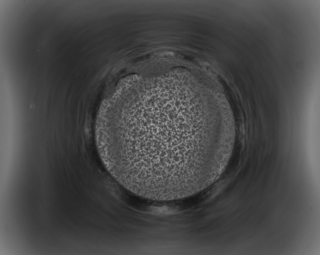 X0000083580561200703021819