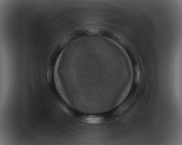 X0000083580562200703021819