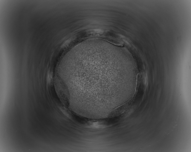 X0000083580564200703021819