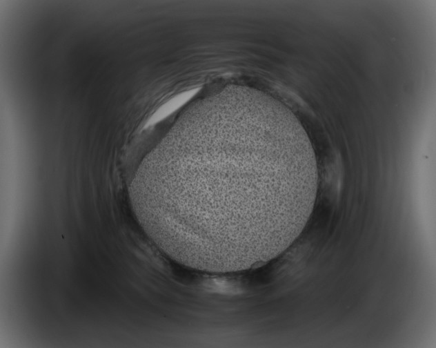 X0000083580565200703021819