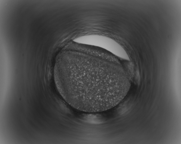 X0000083580566200703021819