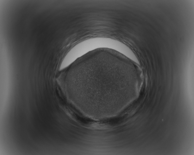 X0000083580568200703021819