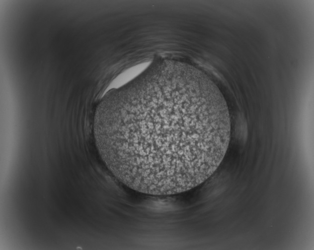 X0000083580569200703021819