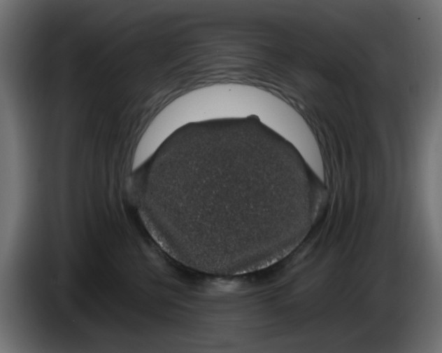 X0000083580570200703021819