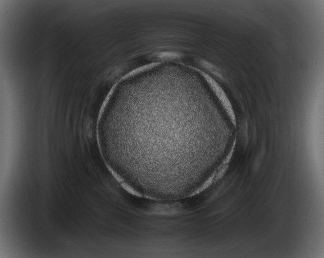 X0000083580571200703021819