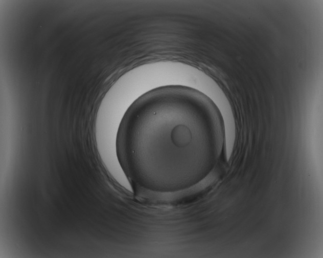 X0000083580572200703021819