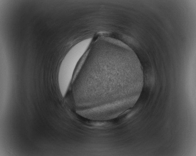 X0000083580575200703021819