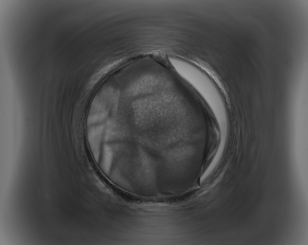 X0000083580577200703021818