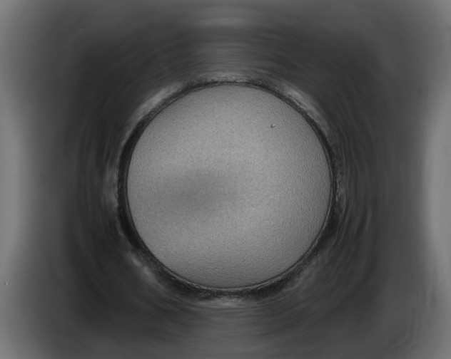 X0000083580578200703021818