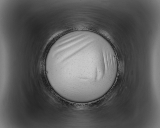 X0000083580579200703021818